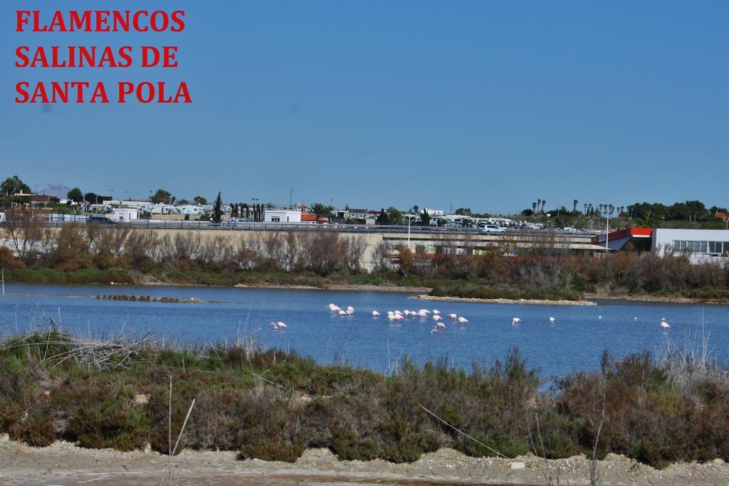Estudio Marina De Santa Pola Buitenkant foto